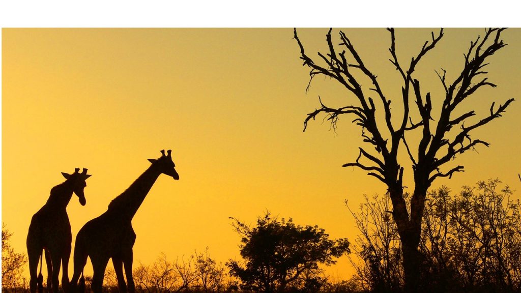 South African Evening - Sunset
