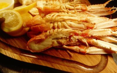 Summer Seafood Platters